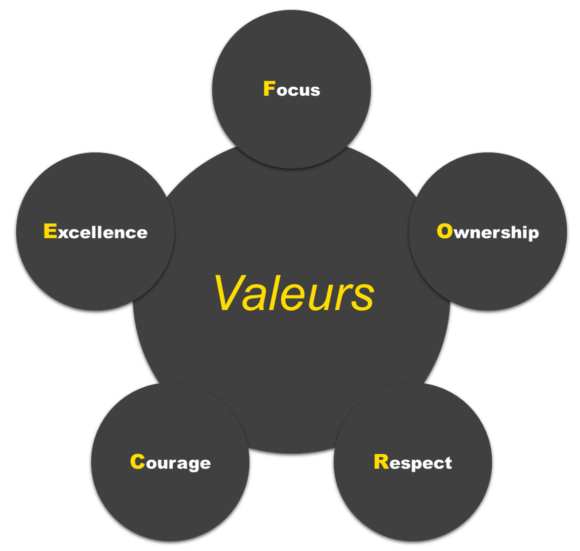 Notre Entreprise - Valeurs